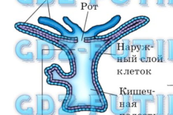 Что вместо гидры