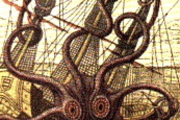 Заказать даркнет