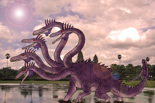 Kraken что это за магазин