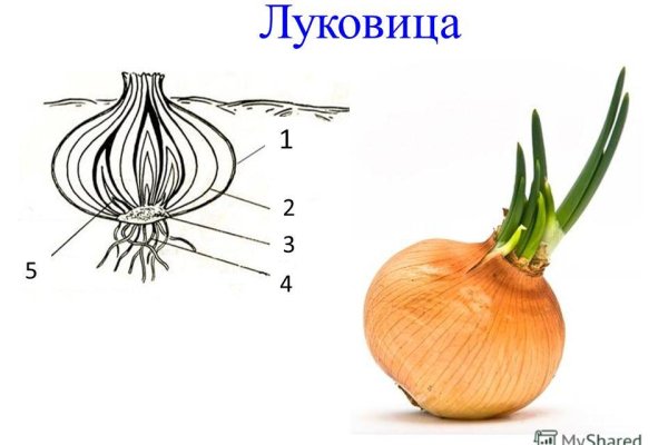 Как подключиться к даркнету