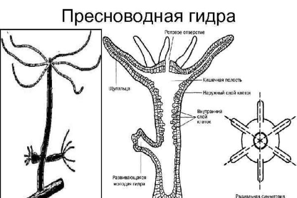Кракен маркетплейс телеграм