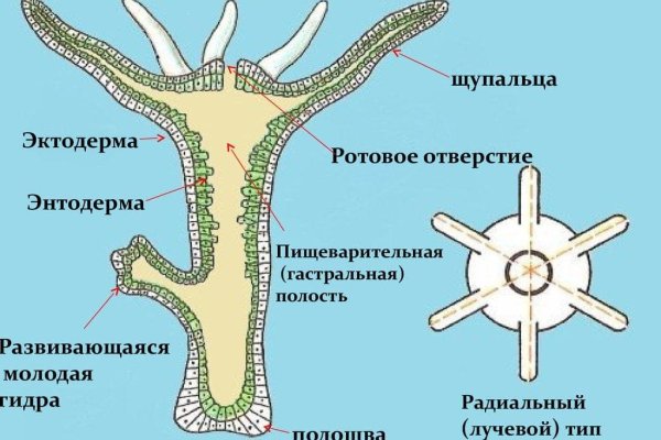 Что за маркетплейс кракен