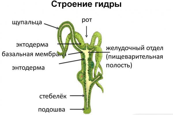 Кракен даркнет аккаунт