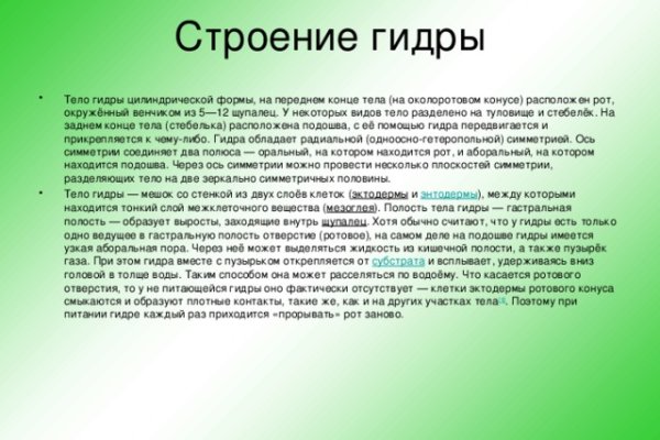 Кракен зеркало krakenat2krnkrnk com