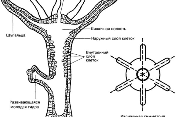Kra34.at
