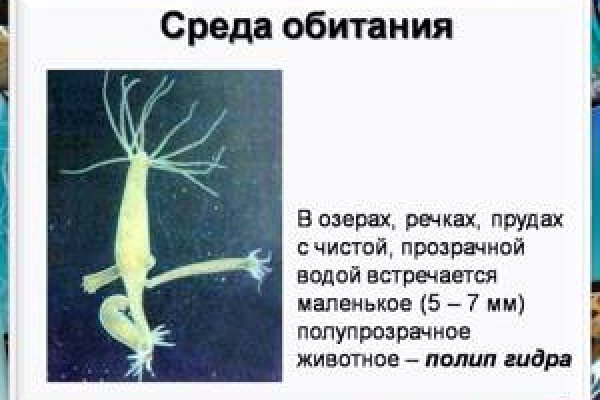 Кракен зеркало store
