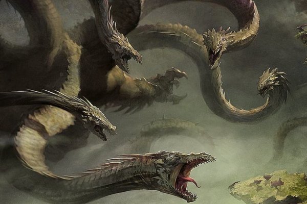 Kraken 24at