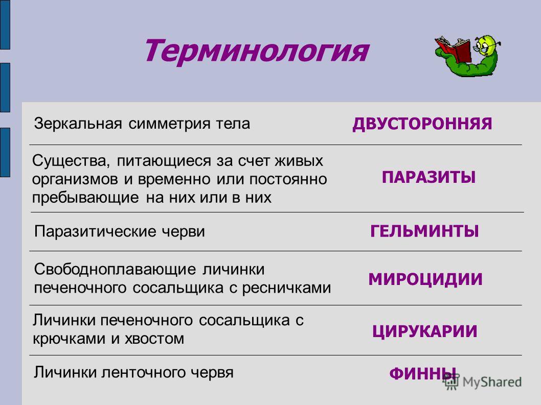 Кракен современный маркетплейс